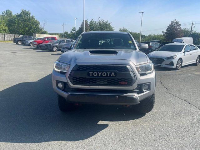 2019 Toyota Tacoma SR5 in Cars & Trucks in Dartmouth - Image 2