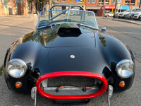 COST OVER $200,000 US TO BUILD CSC FRAME..JOHNEX BODY AND MIDIFIED DEDION LINK. CUSTOM HAND BUILT CA... (image 7)