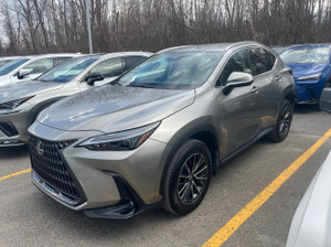 2024 Lexus NX 250 NX 250 / Signature / camera / bluetooth /