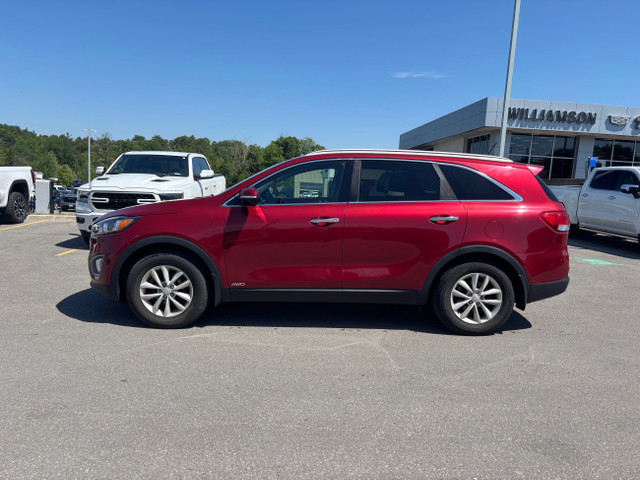 2016 Kia Sorento 2.4L LX in Cars & Trucks in Kawartha Lakes - Image 4