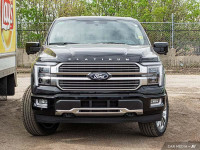 BlueCruise, Sunroof, Power Running Boards, HUD, B&O Audio, Cooled Seats, Remote Start, Adaptive Crui... (image 1)