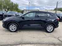 **WE WILL BEAT ANY FORD DEALER IN THE CITY** Built for drivers who crave excitement and versatility,... (image 2)
