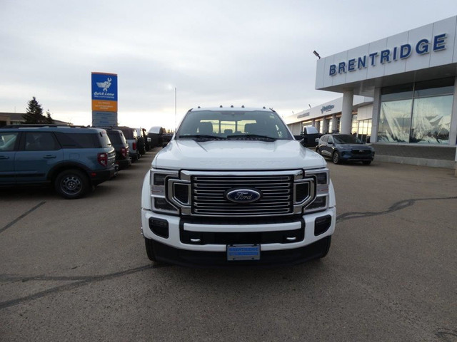 Platinum 4WD Crew Cab 8' Box in Cars & Trucks in Edmonton - Image 4