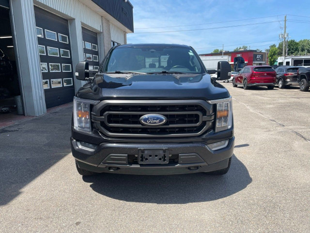 2022 Ford F-150 in Cars & Trucks in Ottawa - Image 3
