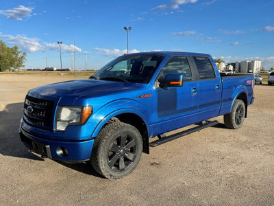  2013 Ford F-150 FX4
