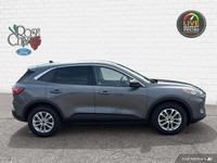 - ACCIDENT FREE - HEATED CLOTH SEATS - LANE KEEPING SYSTEM - BLIS w/ CROSS-TRAFFIC - PRE-COLLISION A... (image 6)