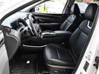 Plug In Hybrid, Fast Charging, Sunroof, Cooled Seats, Leather Seats, Apple CarPlay! Buy with Confide... (image 9)