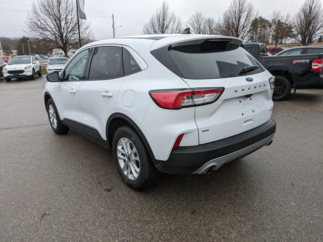 2020 Ford Escape SE 4WD - SYNC3/Nav/Tech Features and more!!!! in Cars & Trucks in Kawartha Lakes - Image 3