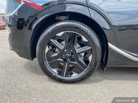 Straightline Kia Packagae: Block Heater, Wheel Locks, $3,000 Security Etch, 1st Oil Change, Professi... (image 7)