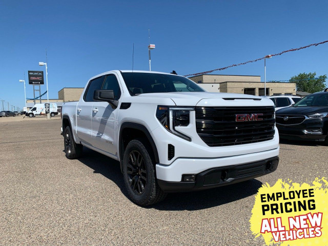 2025 GMC Sierra 1500 in Cars & Trucks in Hamilton