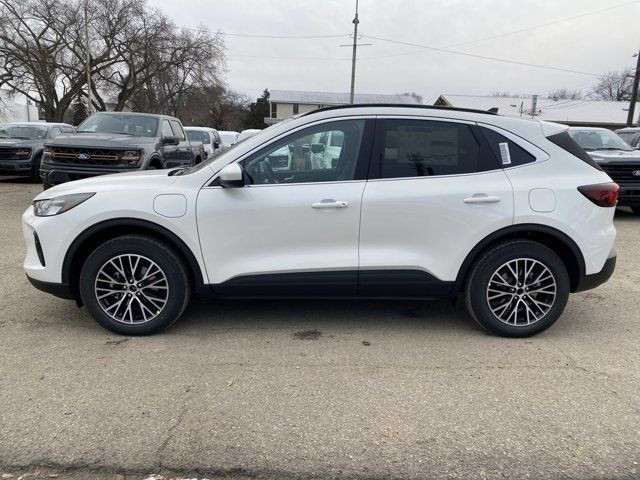 2025 Ford Escape PHEV in Cars & Trucks in Edmonton - Image 2