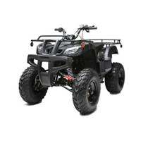 2023 Gio Blazer 150 ATV Utility