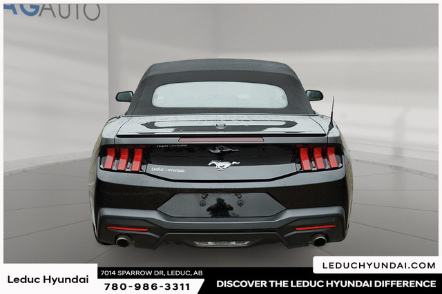 2024 Ford Mustang EcoBoost (315 hp, 350 lb-ft torque), in Cars & Trucks in Edmonton - Image 3