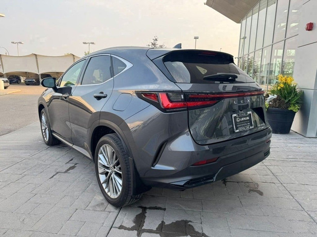 2022 Lexus NX in Cars & Trucks in Calgary - Image 2