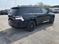 HIGH ALTITUDE PACKAGE -inc: Wheels: 21 x 9 Black Painted Aluminum Painted Door Cladding Gloss Black... (image 4)