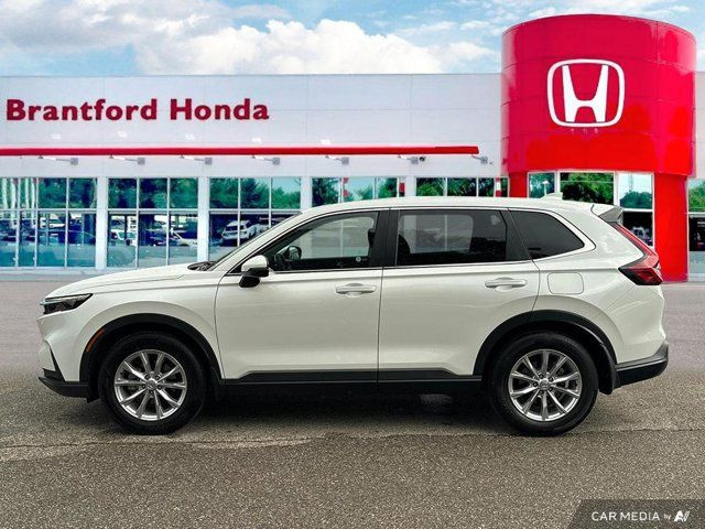 2024 Honda CR-V EX-L in Cars & Trucks in Brantford - Image 2