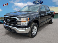 This Ford F-150 boasts a Regular Unleaded V6 3.5 L EcoBoost engine powering this Automatic transmiss... (image 1)