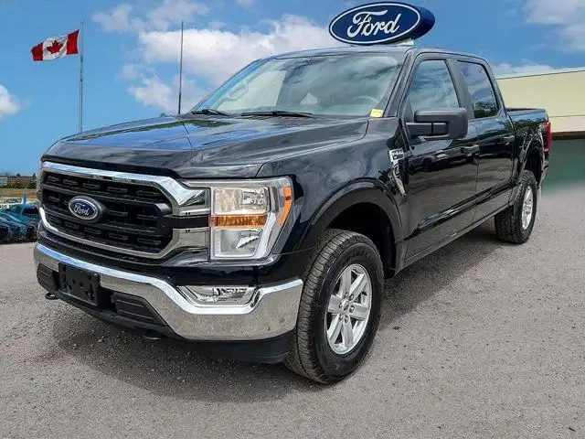 2022 Ford F-150 XLT dans Autos et camions dans Kitchener / Waterloo - Image 3