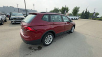 Odometer is 4160 kilometers below market average! This Volkswagen Tiguan is equipped with: Cloth Sea... (image 8)