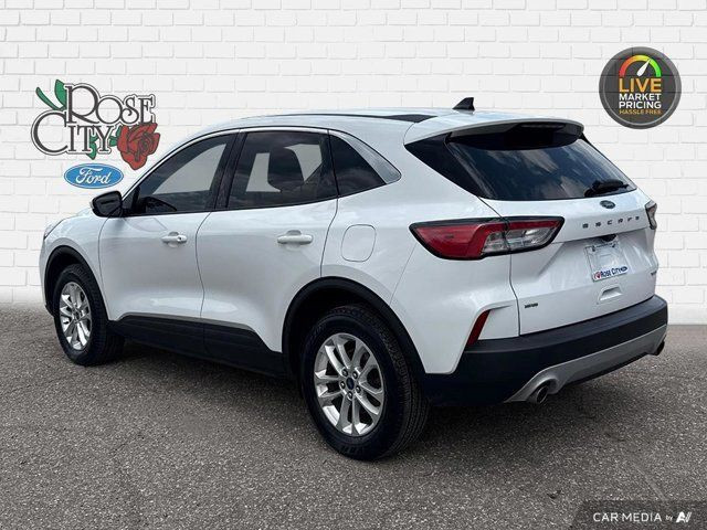 2020 Ford Escape SE in Cars & Trucks in Windsor Region - Image 4