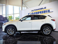 Comes equipped with: Power Trunk, Power Mirrors, Sunroof , Shark fin antenna, Halogen Headlamps, Cou... (image 9)