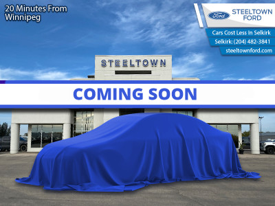 2019 Ford EcoSport Titanium 4WD Titanium