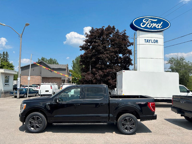  2023 Ford F-150 XLT *302A Sport, 5.0L, Tailgate Step, 20's* in Cars & Trucks in Kawartha Lakes - Image 2