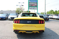 NO ACCIDENT Unleash the thrill of the open road with the 2015 Mustang GT 5.0L V8 Premium Coupe 6 Spe... (image 5)