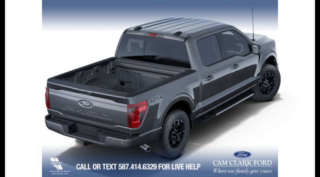 2025 Ford F-150 XLT in Cars & Trucks in Calgary - Image 4