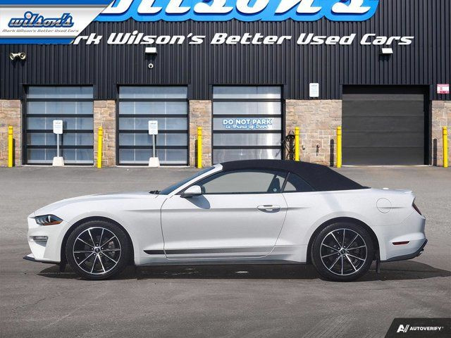 2020 Ford Mustang EcoBoost Convertible - Wheel & Stripe PKG in Cars & Trucks in Guelph - Image 2