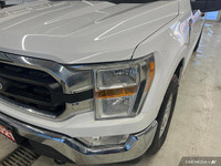 Previous Daily Rental: SPACE WHITE METALLIC, ENGINE: 2.7L V6 ECOBOOST -inc: auto start/stop technolo... (image 6)
