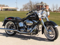  2013 Harley-Davidson FLSTN Softail Deluxe 103 Low 19,000 KM ONL