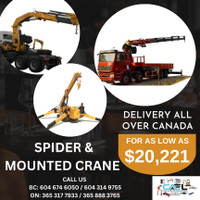 New 2024 CAEL Mounted crane Self-Propelled Spider crane Lift