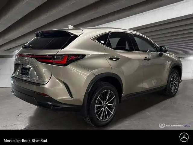 2024 Lexus NX 250 in Cars & Trucks in Longueuil / South Shore - Image 6