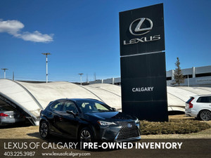2022 Lexus UX Other