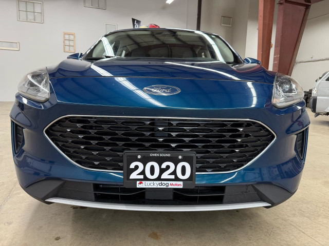 2020 Ford Escape SE in Cars & Trucks in Owen Sound - Image 3