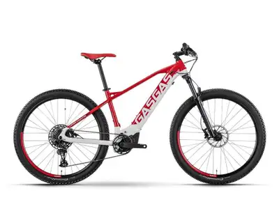 2022 GASGAS CROSS COUNTRY 3.0 M Les photos peuvent être à titre indicatif et sans inscription. Les p...