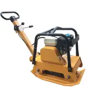 New CAEL Two-way Gas Briggs Stratton Plate Compactor