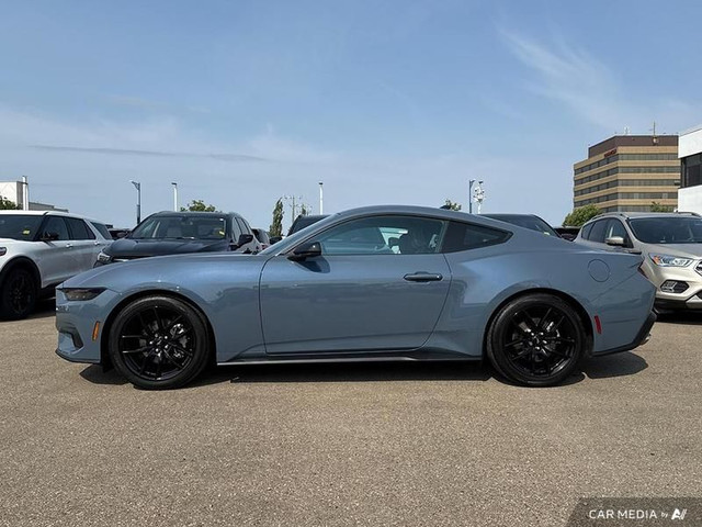 2024 Ford Mustang EcoBoost in Cars & Trucks in Edmonton - Image 3