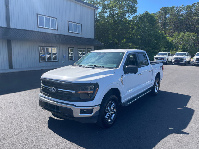 2024 Ford F-150 XLT -Navigation-Clean Carfax- in Cars & Trucks in Annapolis Valley - Image 2