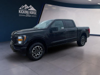 2023 Ford F-150 XL 2.7L Eco Boost/STX Appearance Package