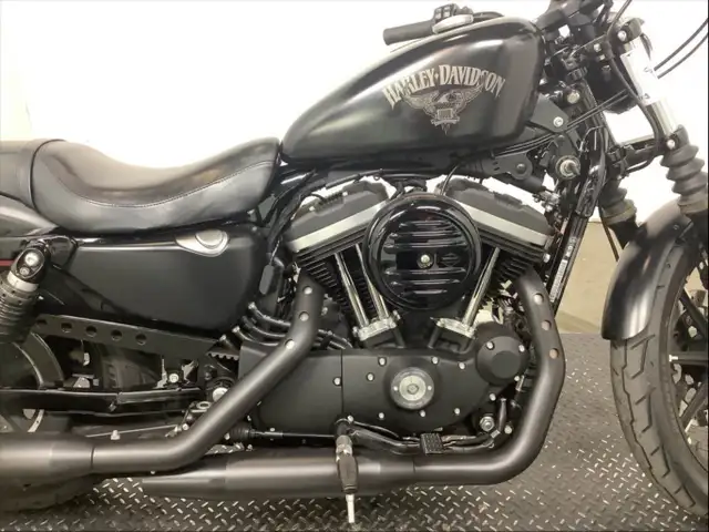 2018 Harley-Davidson Sportster XL883N Iron in Street, Cruisers & Choppers in City of Toronto - Image 4