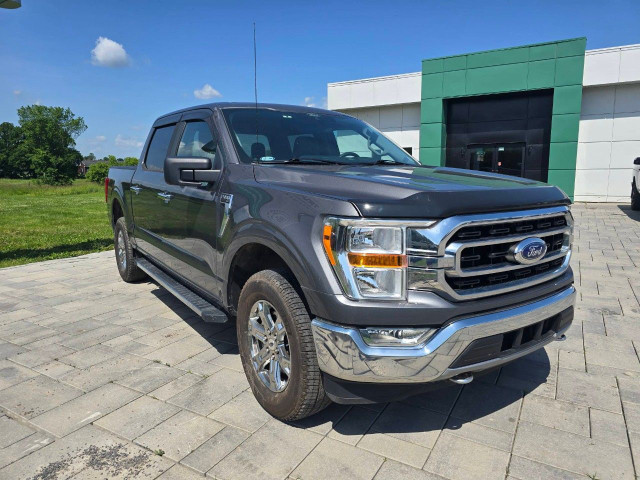 2021 Ford F-150 in Cars & Trucks in Ottawa - Image 3