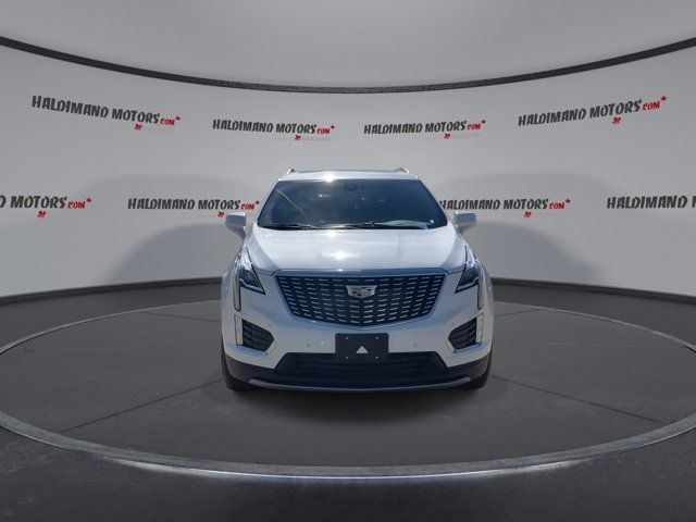 2023 Cadillac XT5 AWD Premium Luxury in Cars & Trucks in Hamilton - Image 3