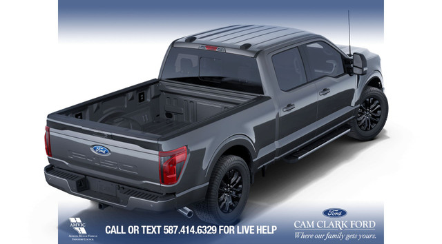 2025 Ford F-150 XLT in Cars & Trucks in Calgary - Image 4
