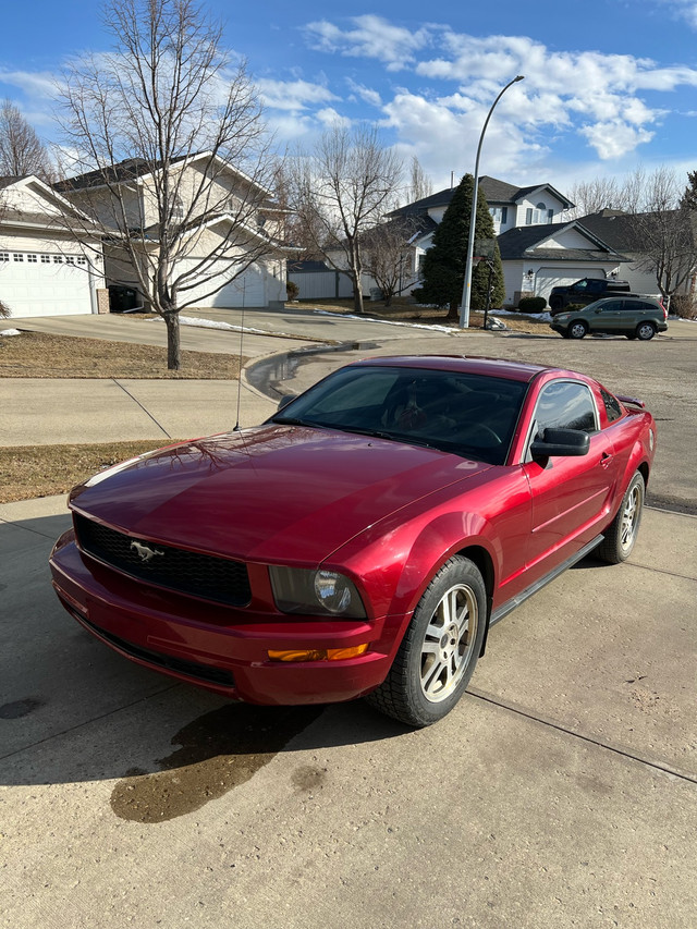 2005 Ford Mustang V6 in Cars & Trucks in Strathcona County
