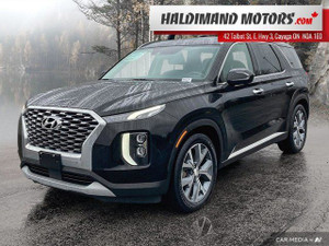 2020 Hyundai Palisade Luxury