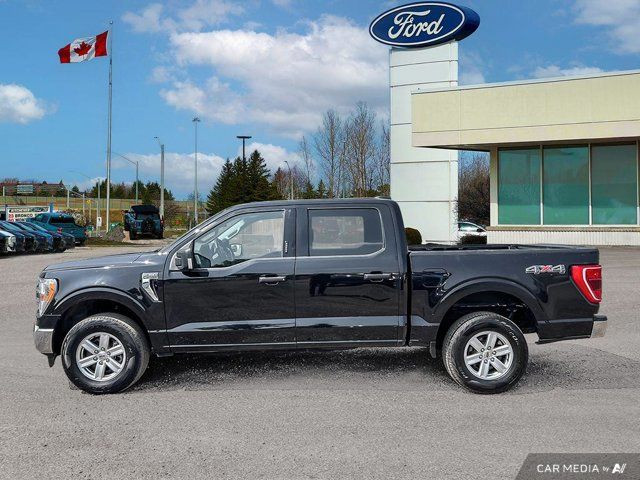 2021 Ford F-150 XLT | 301A | TOWING PKG | NAVIGATION | CHROME in Cars & Trucks in Kitchener / Waterloo - Image 4