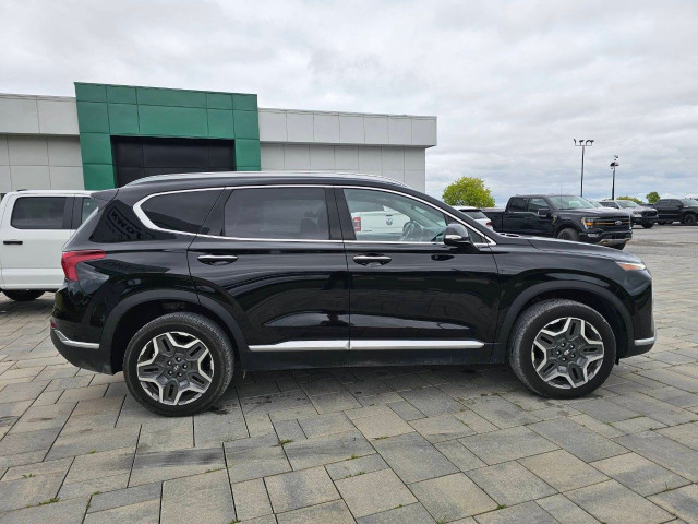 2023 Hyundai Santa Fe Hybrid in Cars & Trucks in Ottawa - Image 4