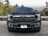 This 2020 Ford F-150 XLT crew cab is ready for anything. Boasting a powerful 3.5L V6 EcoBoost engine... (image 8)